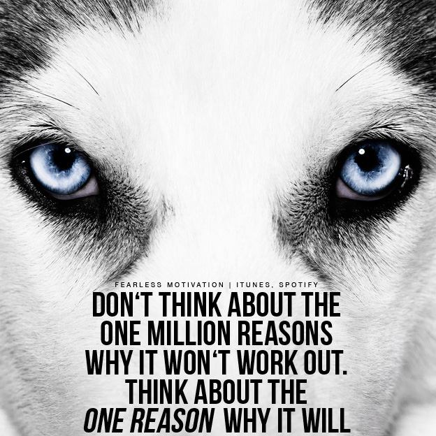 Wolf-quotes-and-sayings