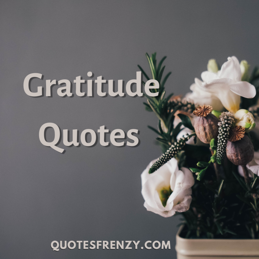 80 Gratitude Quotes And Be Grateful Sayings – Quotes Sayings 