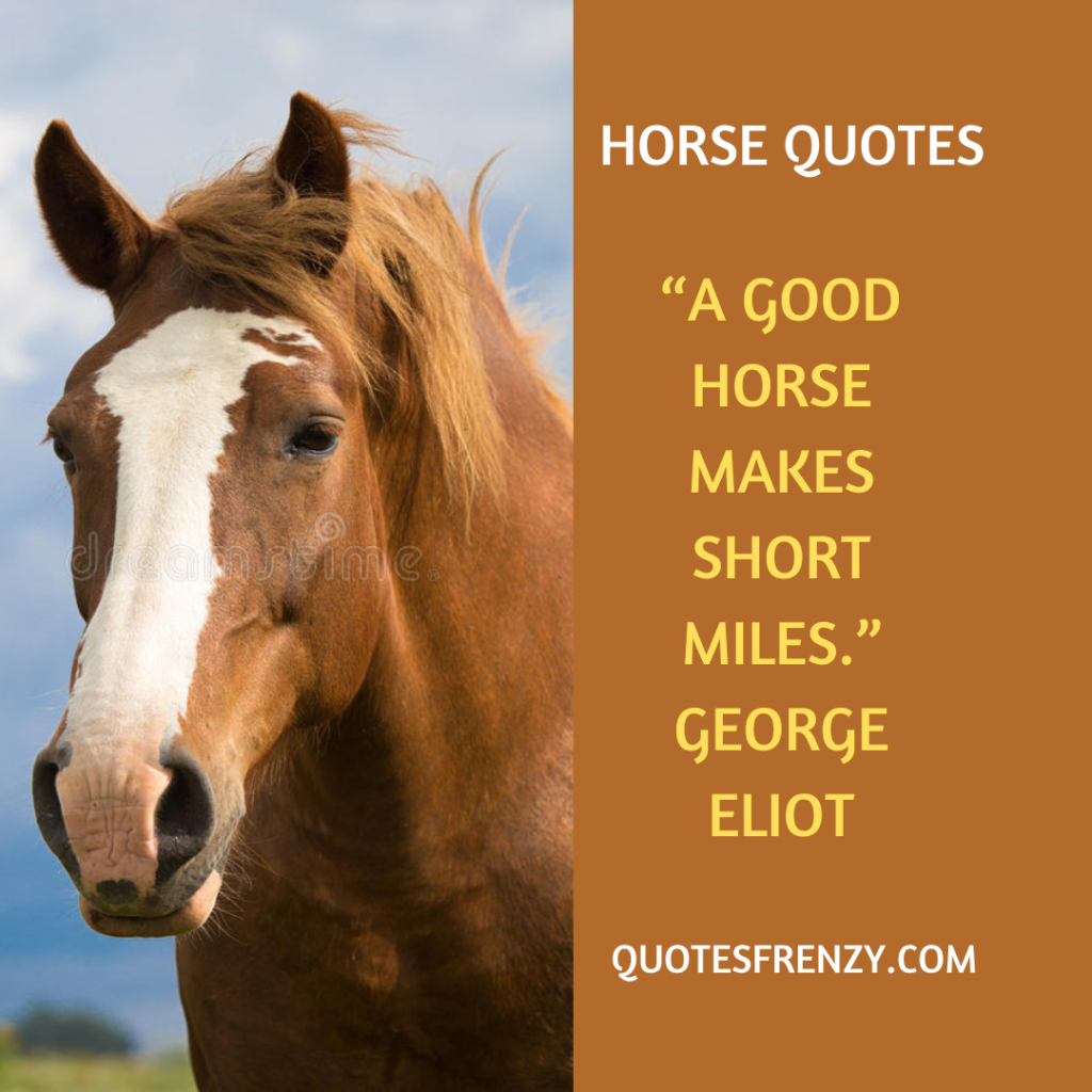 Horse Quotes And Sayings – Quotes Sayings | Thousands Of Quotes Sayings