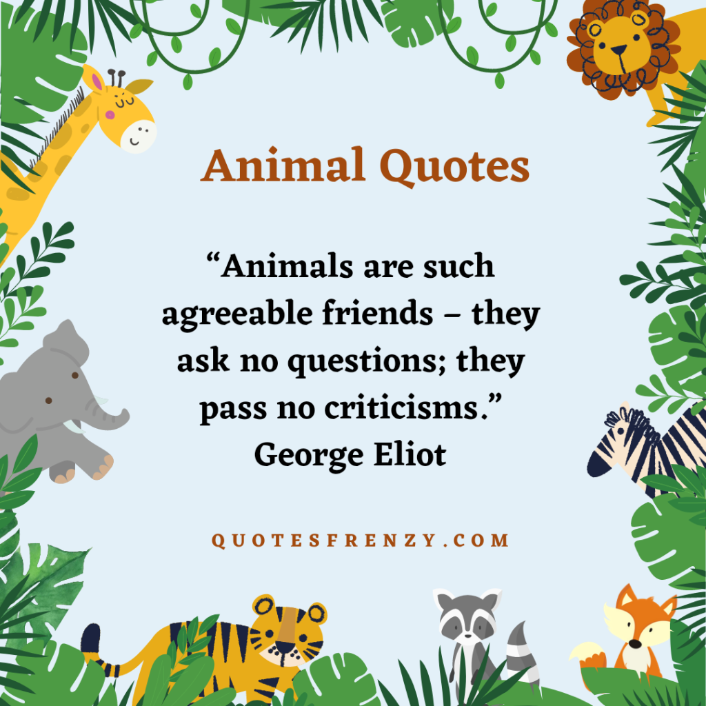 100 Animal Quotes And Sayings – Quotes Sayings | Thousands Of Quotes ...